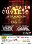 Concert aniversar Celelalte Cuvinte in Rock Cafe Resita
