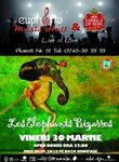 Concert Les Elephants Bizarres in Euphoria Music Hall