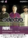 Selectro: concert live ROA in Expirat & Otherside