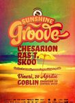 Sunshine Groove Party in Club Goblin
