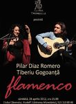 Concert flamenco cu Pilar Diaz Romero si Tiberiu Gogoanta la Clubul Taranului