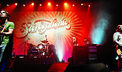Videoclip Stereophonics A Thousand Trees