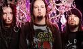 Korn