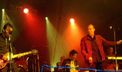Bere Gratis - concert