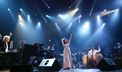 pink martini