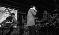 The Amsterdams 02