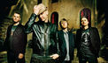 The Fray
