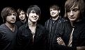 Framing Hanley 