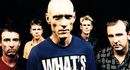 Midnight Oil
