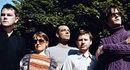 Pulp