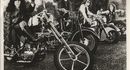 Steppenwolf