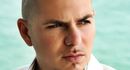 Pitbull