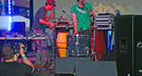 Animal Collective