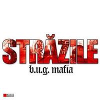 Strazile - maxi-single