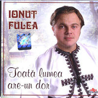 Ionut Fulea - Toata lumea are-un dor