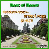 Various - Best of Banat