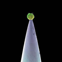 Peter Gabriel - New Blood