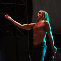 Iggy Pop @ Tuborg Greenfest Peninsula