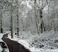 Ce piesa te reprezinta cand ninge?