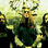 Superjoint Ritual