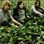 Tame Impala