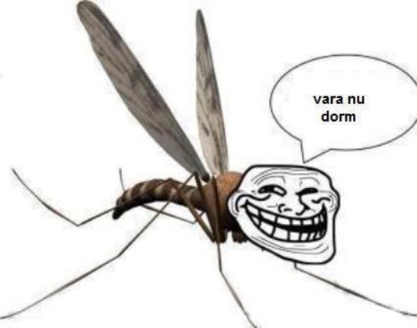 Funny Pictures Pagina 411